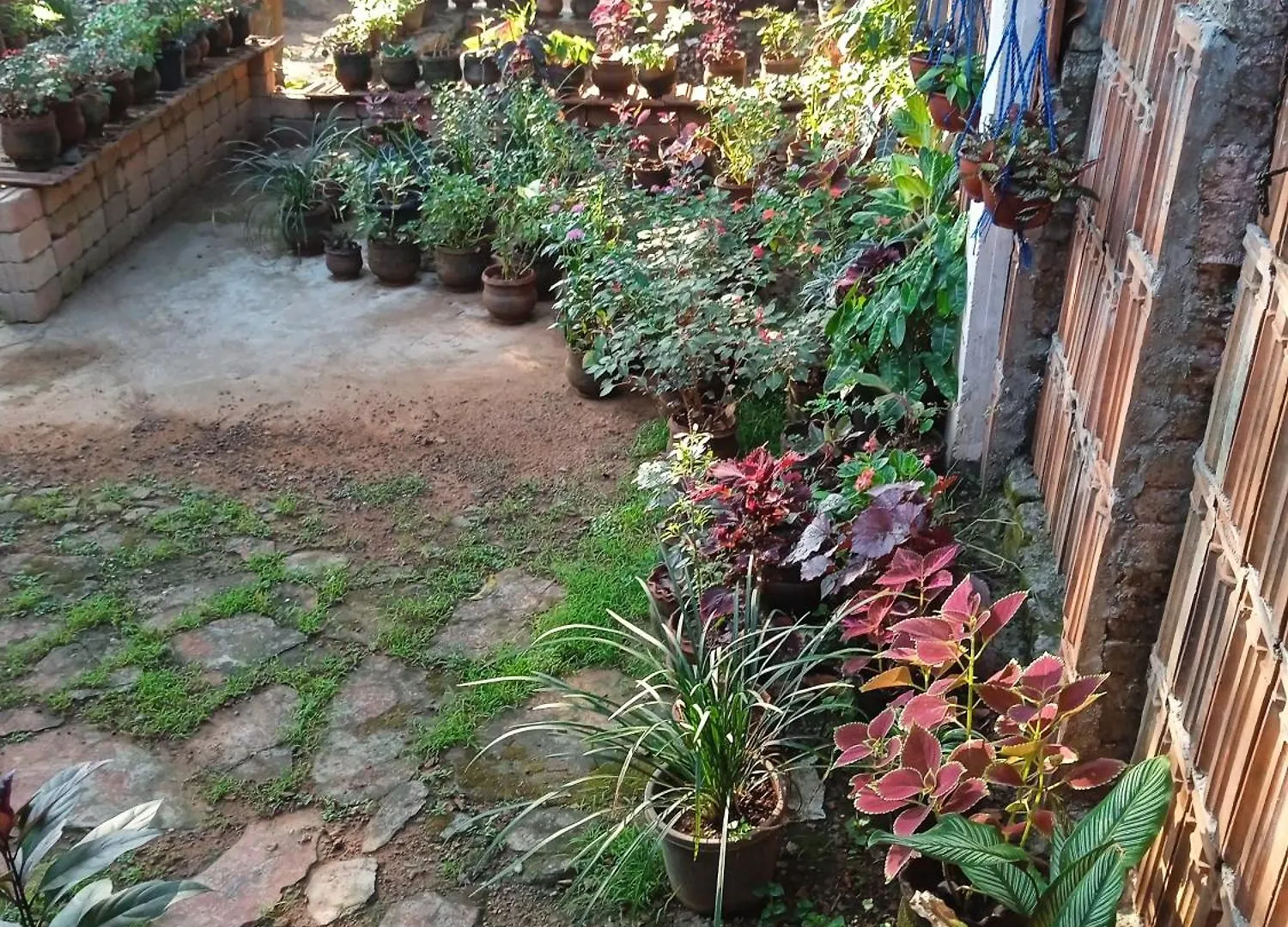 Stellabrook Home Stay And Panchakarma Centre Kovalam India